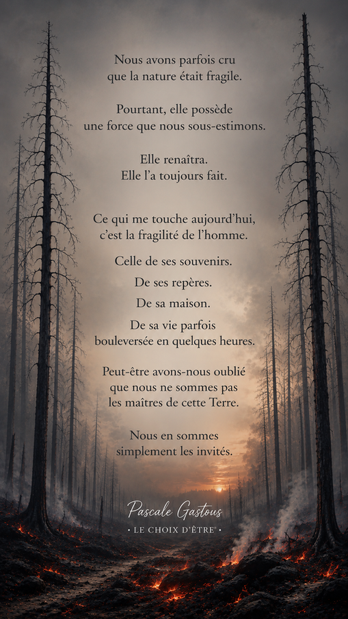 incendie Gironde, forêt brûlée, pompiers, feu, terre brulée, nature, résilience