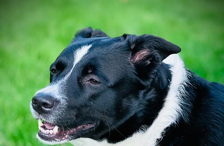 516813743_24489154444001677_203557114304