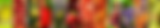 Sans titre (1483 x 257 px).png