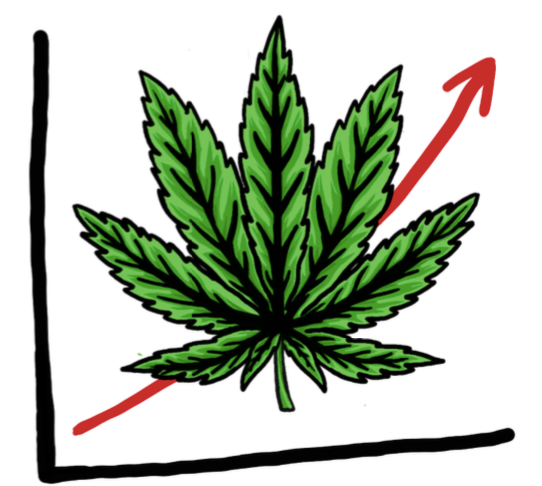 Cannabis: Changes in THC and CBD over time