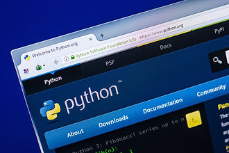 11_宣材写真(python).jpeg
