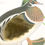 Thumbnail: Oscar Otter Bilingual Sensory Book 【小水獭奥斯卡双语启蒙触摸书】