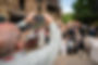 RMC-DSC_9570.jpg