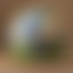 Elevating Sustainability in           Event Planning