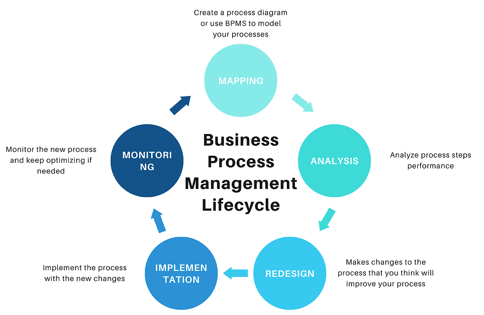 Business Process Improvement: Techniques for Sustained Success