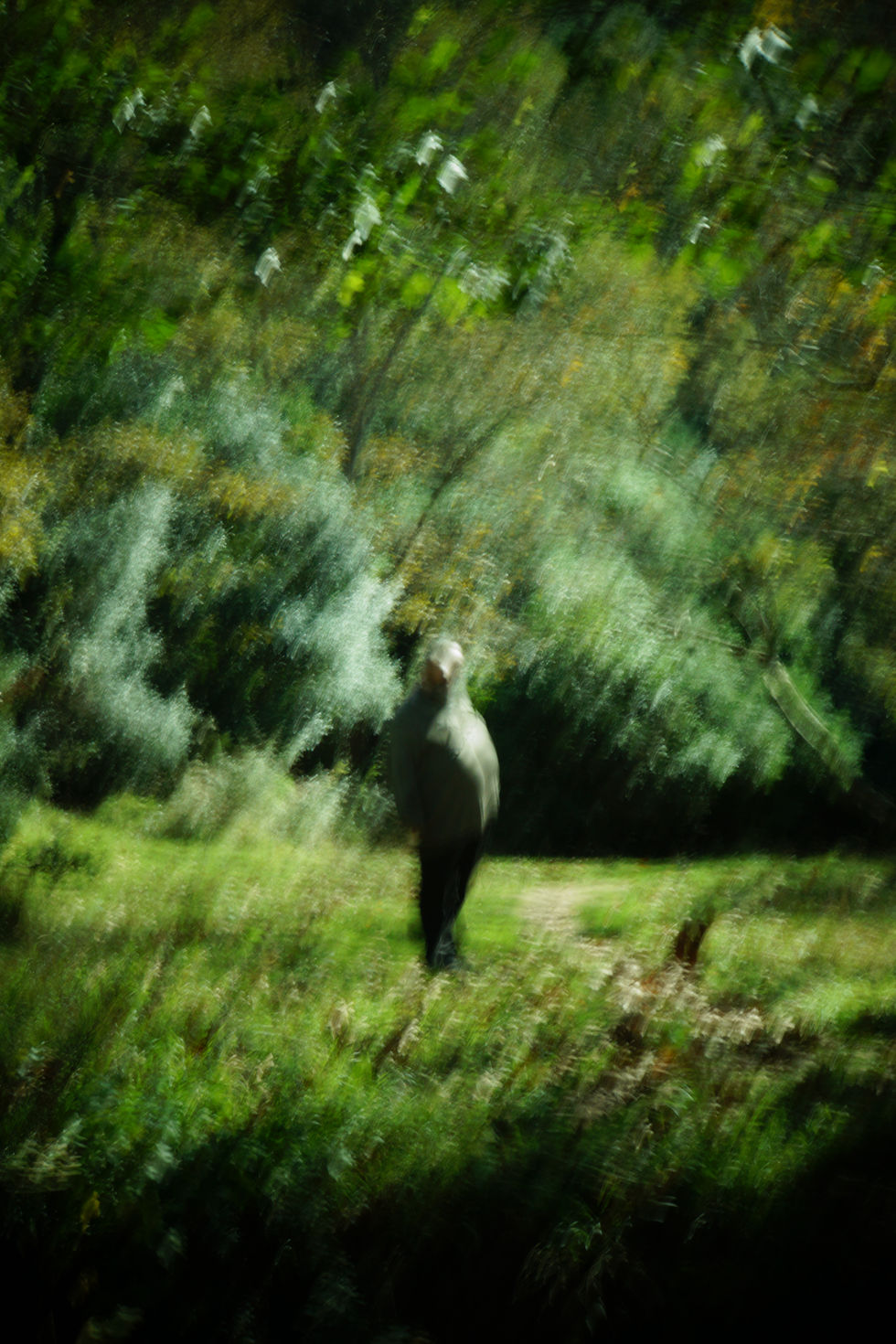 man in nature
