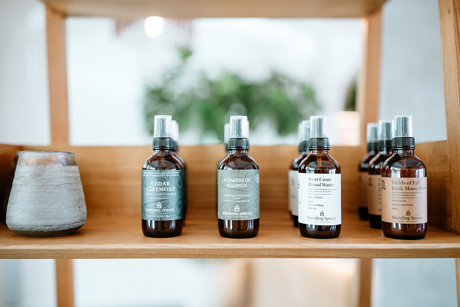 New beginings Subscription