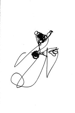 Hoverfly (unspecified)