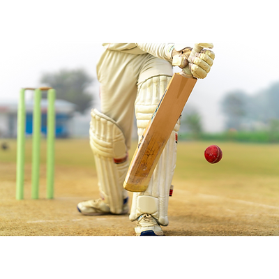 cricket.png