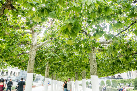 Ashley in Brussels - SDFlytographer -26.jpg