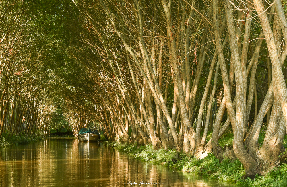 Canal.