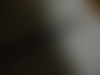 your triumphs and your charms