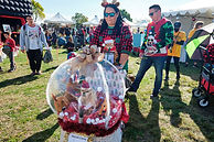 Snow Globe contestant at Traci's Paws Unleash the Holiday Cheer pet costume contest.