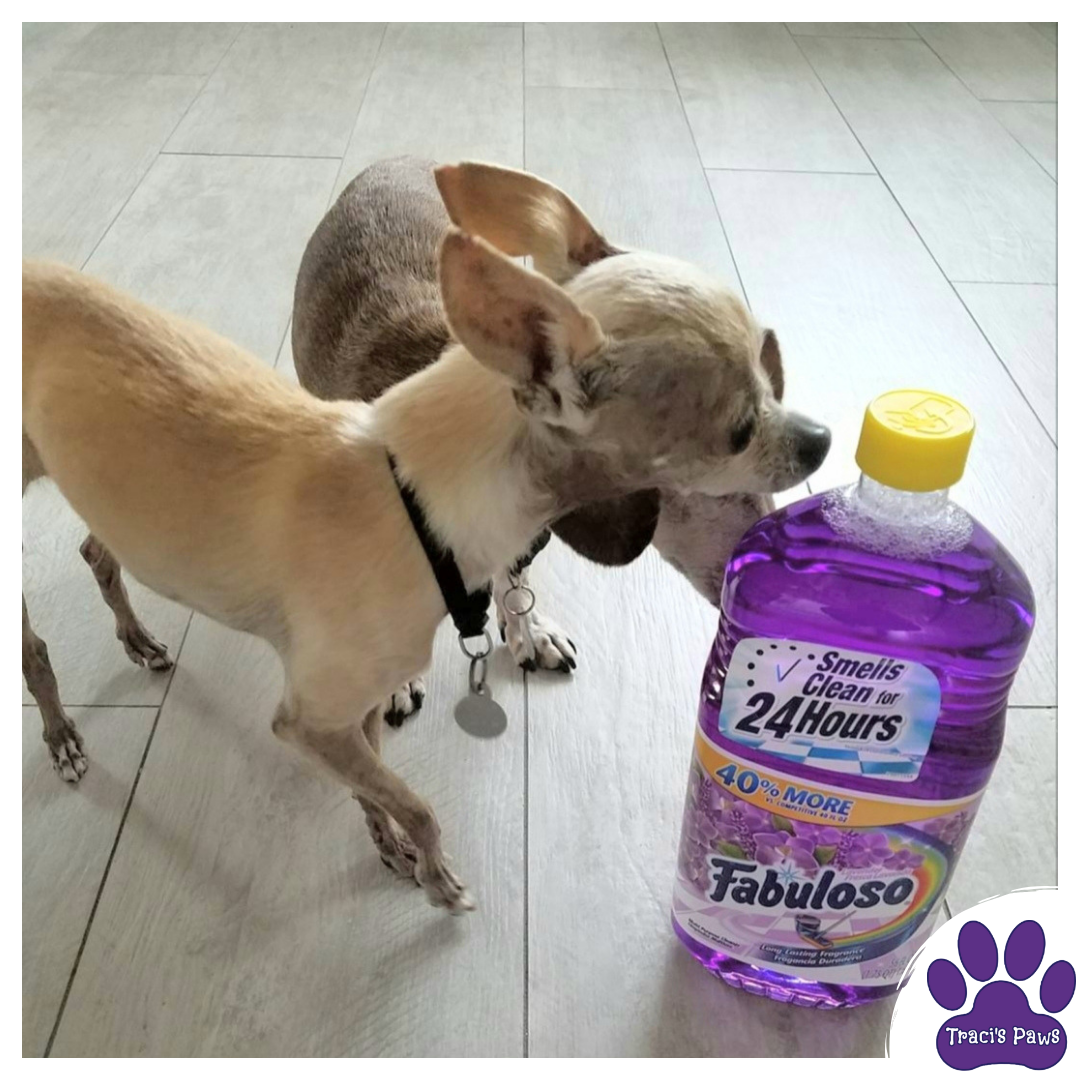 National Poison Prevention Week Household Products National Poison Prevention Week