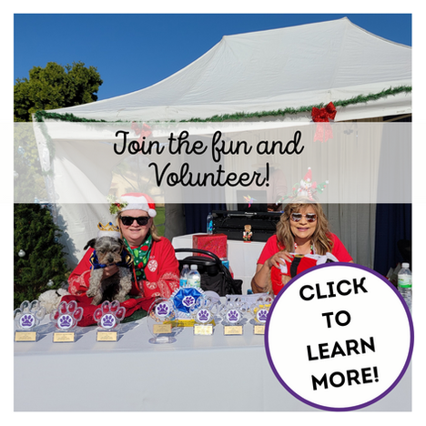 A graphic showing two ladies with their dogs volunteering at Unleash the Holiday Cheer. This is asking people to sign up as a volunteer with Traci's Paws.