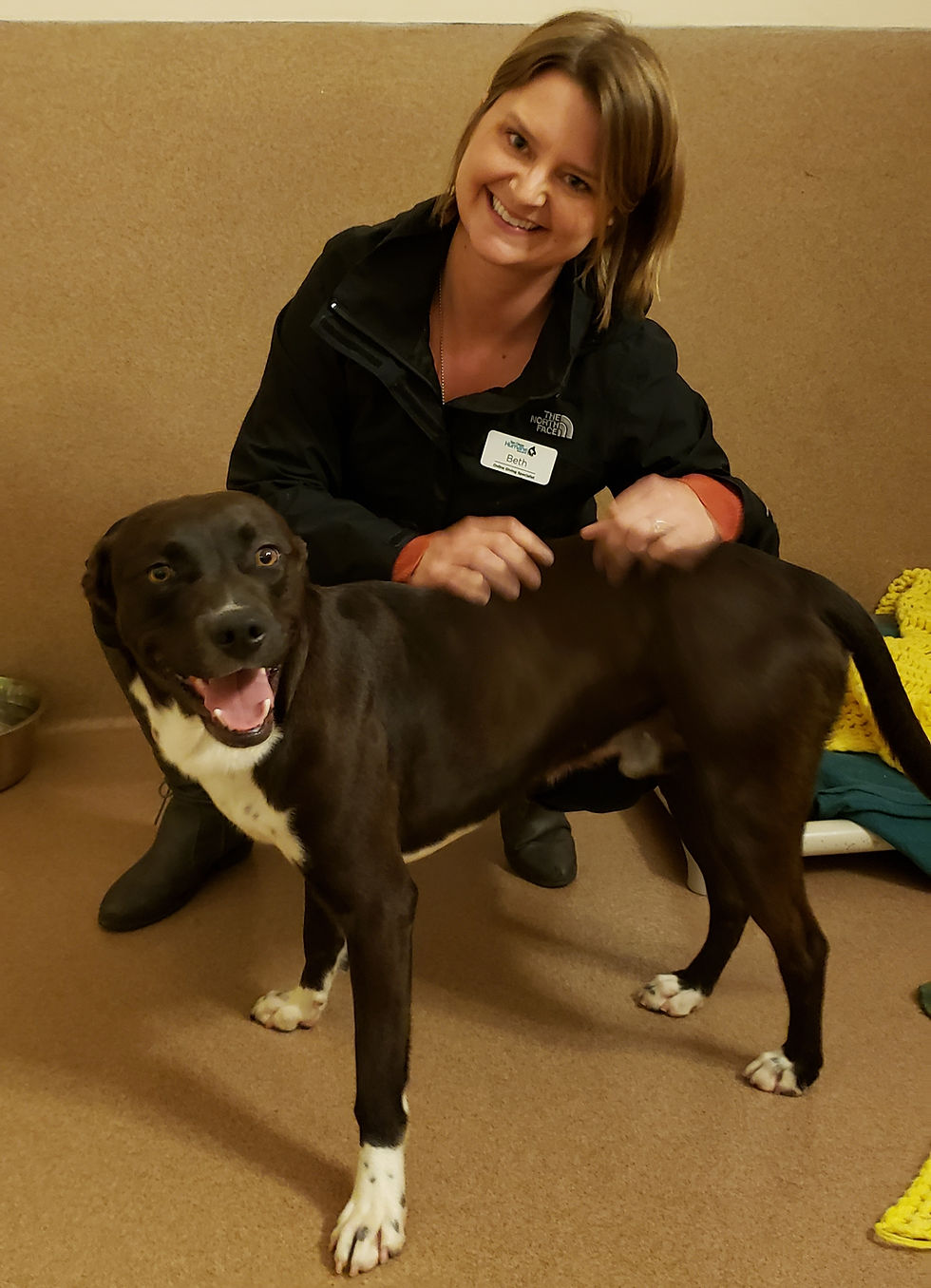Traci's Paws got to meet with Rocky, one of a bonded pair at SDH.