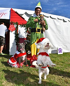 Duo Buddy the Elf and pup contestant at Traci's Paws Unleash the Holiday Cheer pet costume contest.