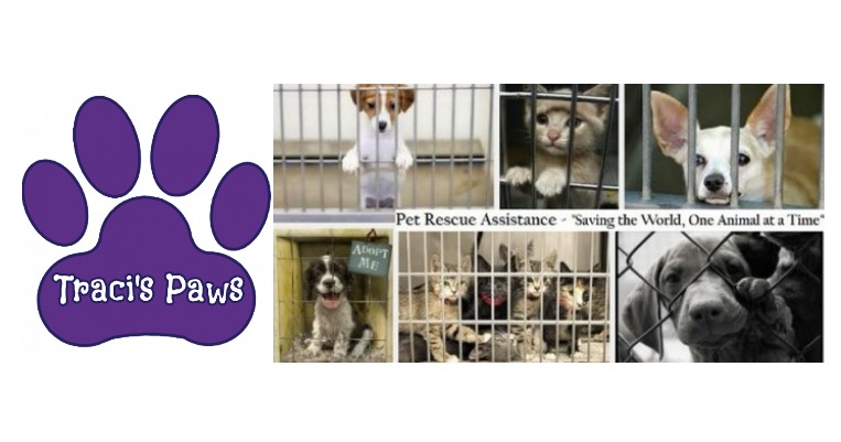 Traci S Paws Website Lexi S Big 17