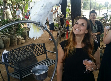 National Bird Day
