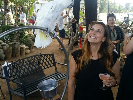 National Bird Day