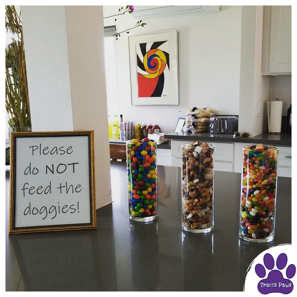 Traci's Paws tip: If you have a party, be sure to place a sign near the food stations asking people to not feed your pets.