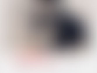 黒柴の男の子①③ 最新動画公開｜北海道足寄町の柴犬専門ブリーダー「柴の郷withFold」