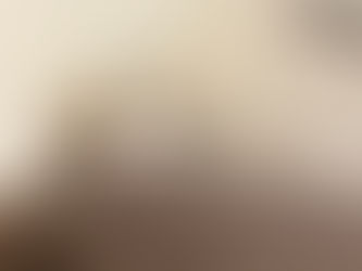 お迎え後も幸せいっぱい♪ スコティッシュフォールド「おもち」ちゃんの成長報告が届きました!