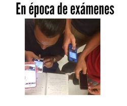 MEMES EN PUNTO