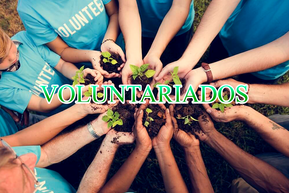 VOLUNTARIADOS 2.png