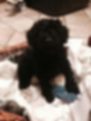 image1.jpeg