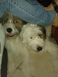 loustic-fiona-134.jpg