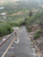 Steep concrete stairs with rusty railing descend a lush hillside. Two people climb the stairs, surrounded by tall cacti and dense greenery.
