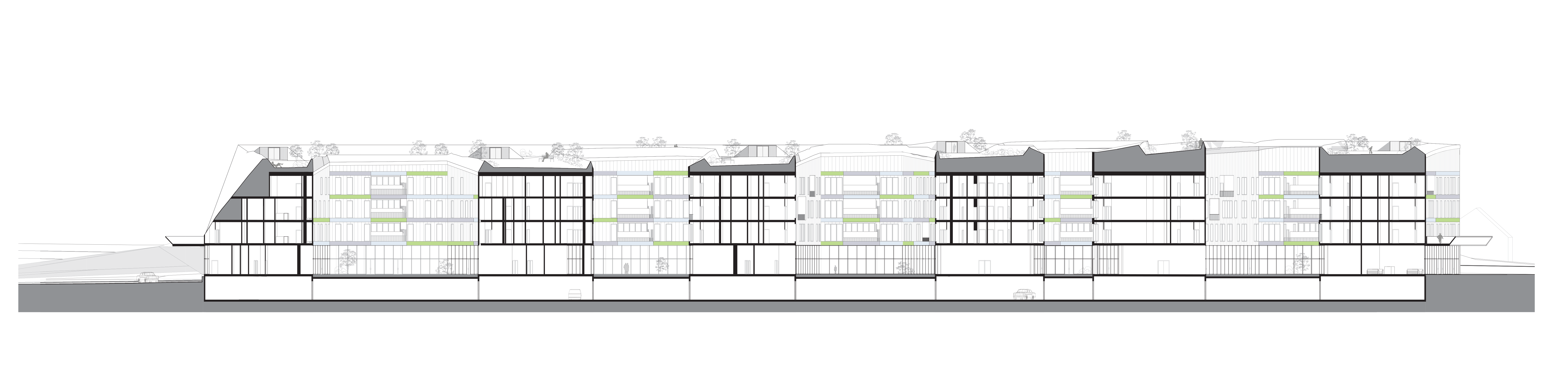 Longitudinal section