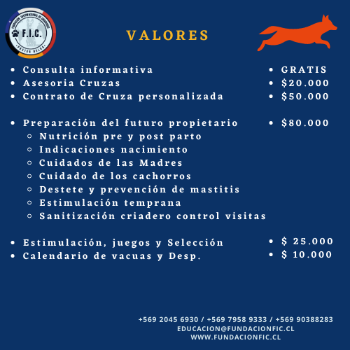 CRIANZA 2