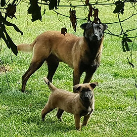 Madre e hija