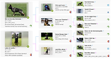 quebec arbol genealogico..png