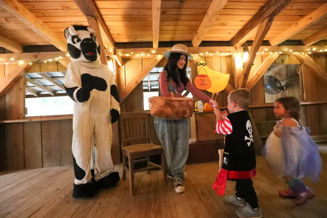 Trick or treaters visit a cow in the barn as they pick up treats during the annual Oatland Island Halloween Hike on Friday, October 13, 2023. Richard Burkhart/Savannah Morning News