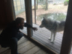 IMG_0202.jpeg
