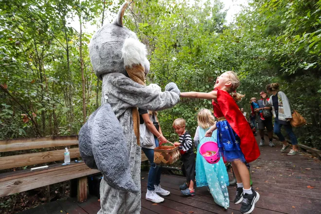 Piper Hunter, 5, leaps into the air as she high fives a squirrel during the annual Oatland Island Halloween Hike on Friday, October 13, 2023. Richard Burkhart/Savannah Morning News