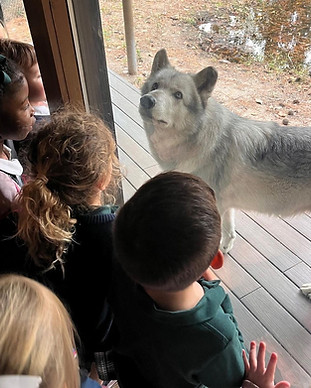 Field Trips (20).JPG