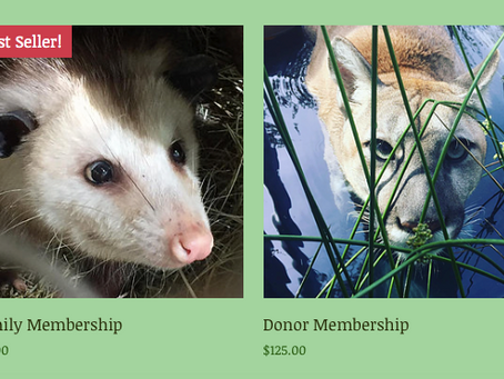 Online Membership and Renewals have Arrived!