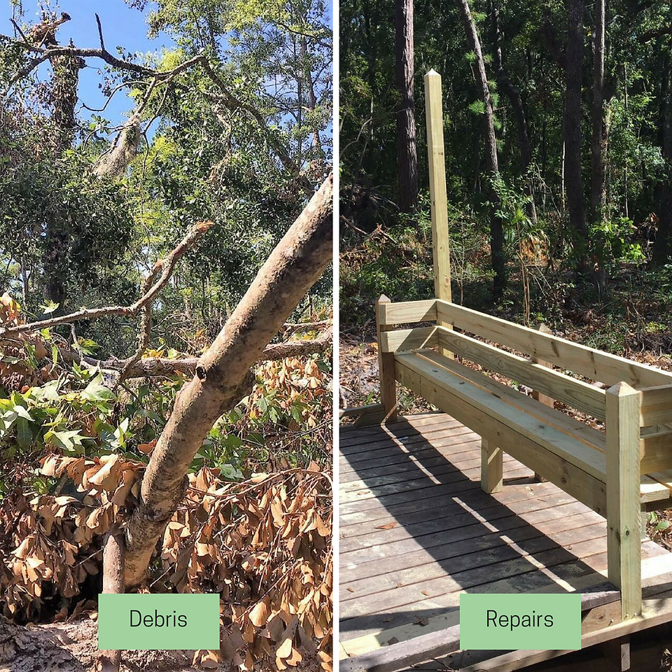Bench and Walkway near Fox Enclosure