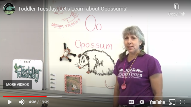 Toddler Tuesdays at Oatland Island with Michelle Kelly