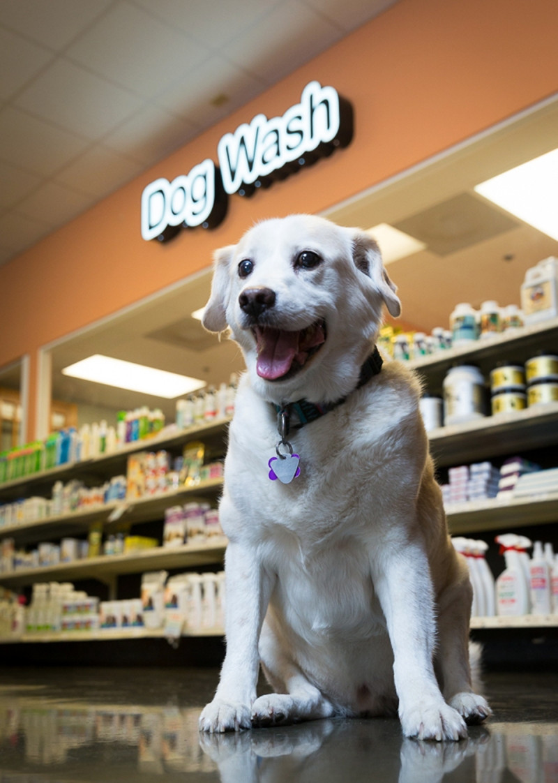 Photo Credit: Pet Product News