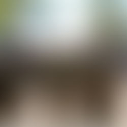 יום בעקבות לוחמים