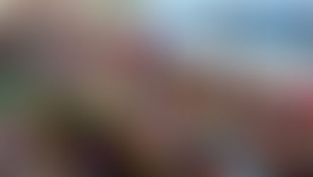 Saltur se pronuncia após atraso nos trios no circuito Barra-Ondina