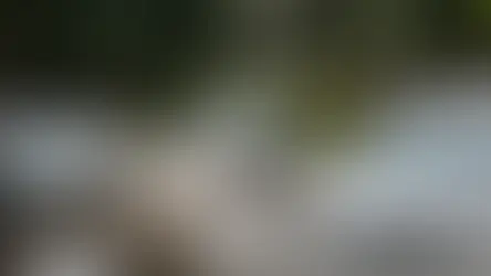 Salvador tem previsão de chuva nesta terça-feira (23); veja áreas com maiores acumulados