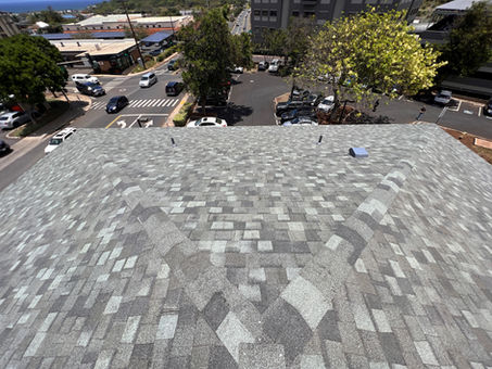 NEW ROOF VIEW 2.jpg