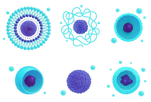 Nano Encapsulation Examples