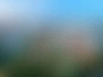 Financial strategy for the period of 2021 - 2030: Accelerating economic recovery and development